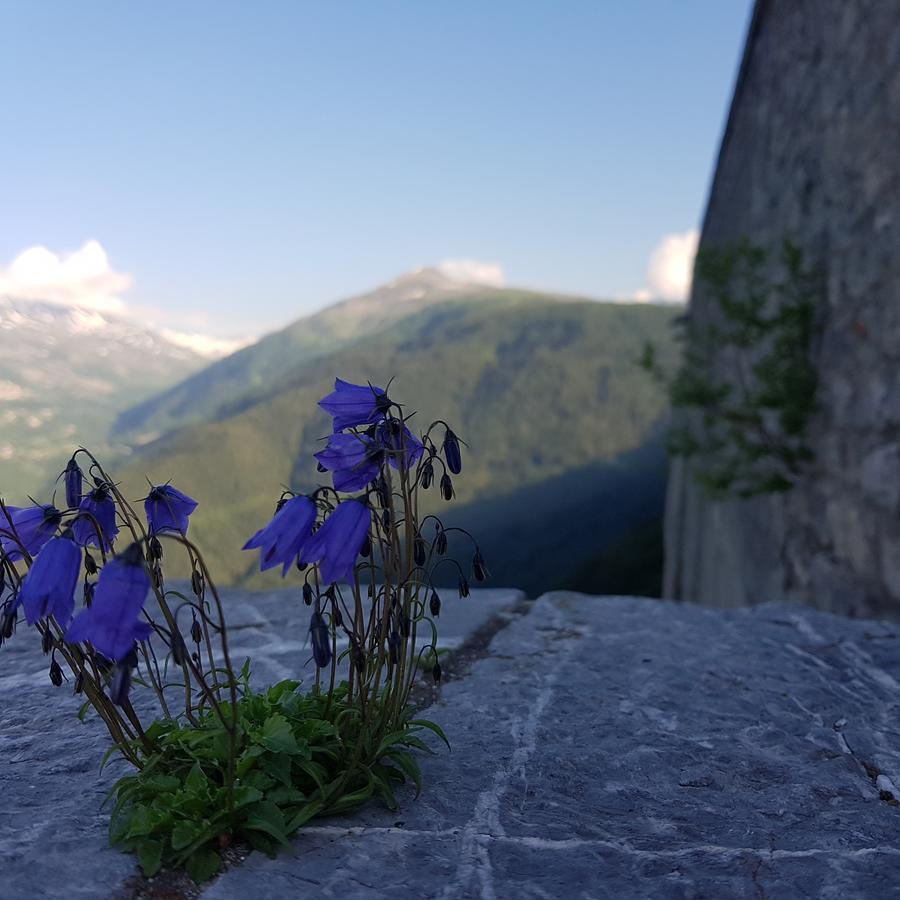Hotel-Chalet Les Melezes Valloire Ngoại thất bức ảnh
